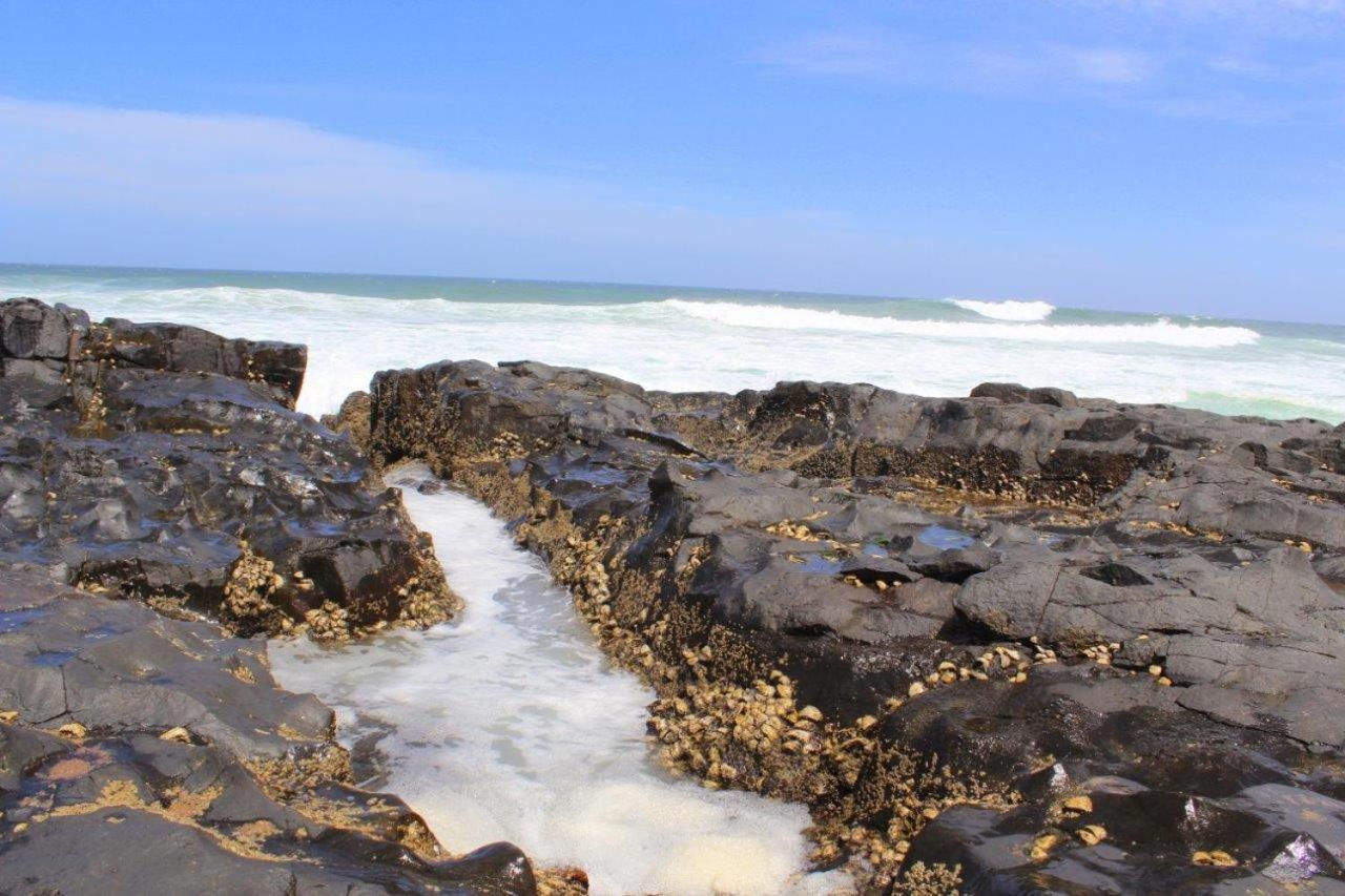 Silver Dolphin Holidays Lägenhet Amanzimtoti Exteriör bild