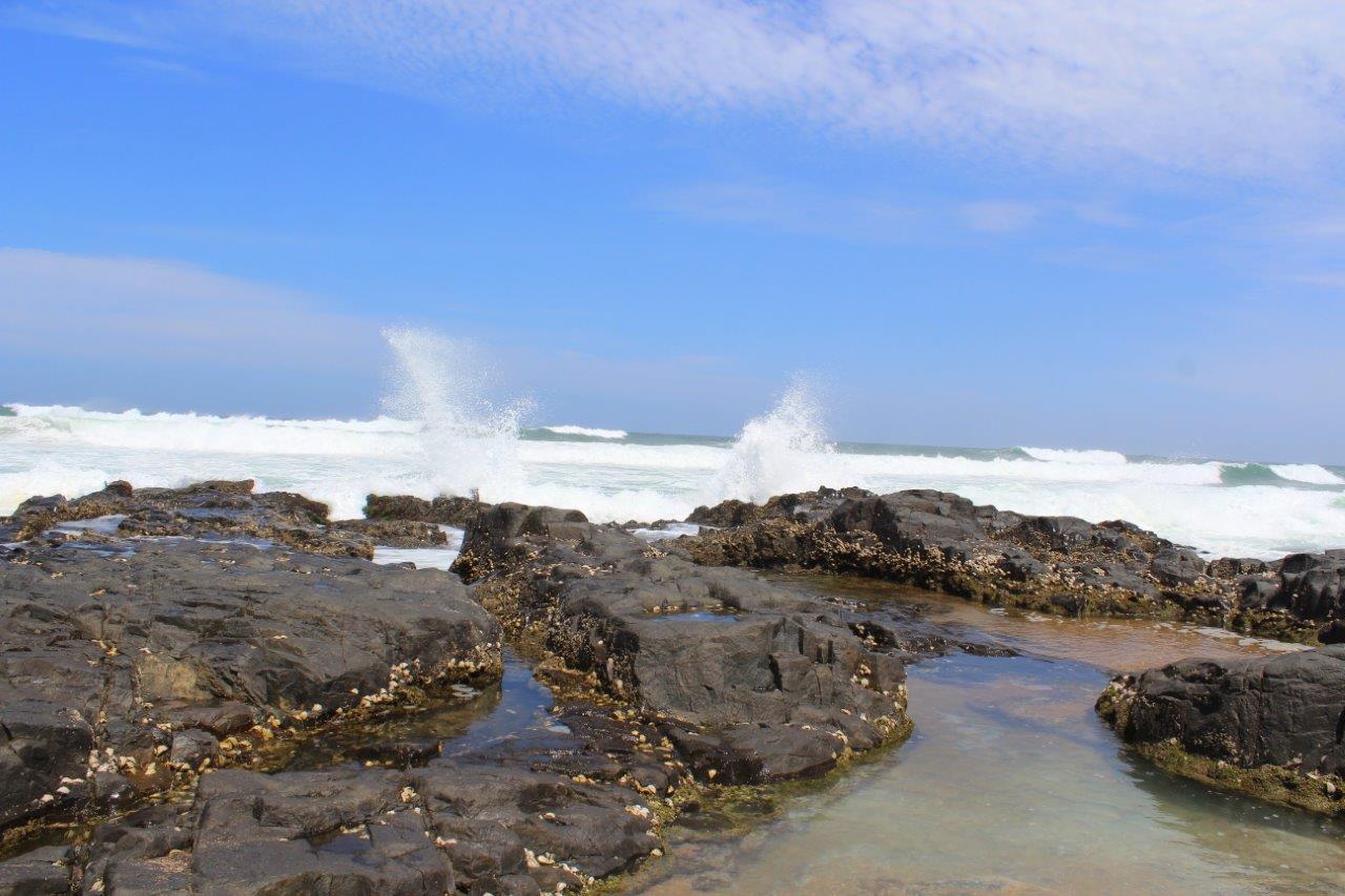 Silver Dolphin Holidays Lägenhet Amanzimtoti Rum bild