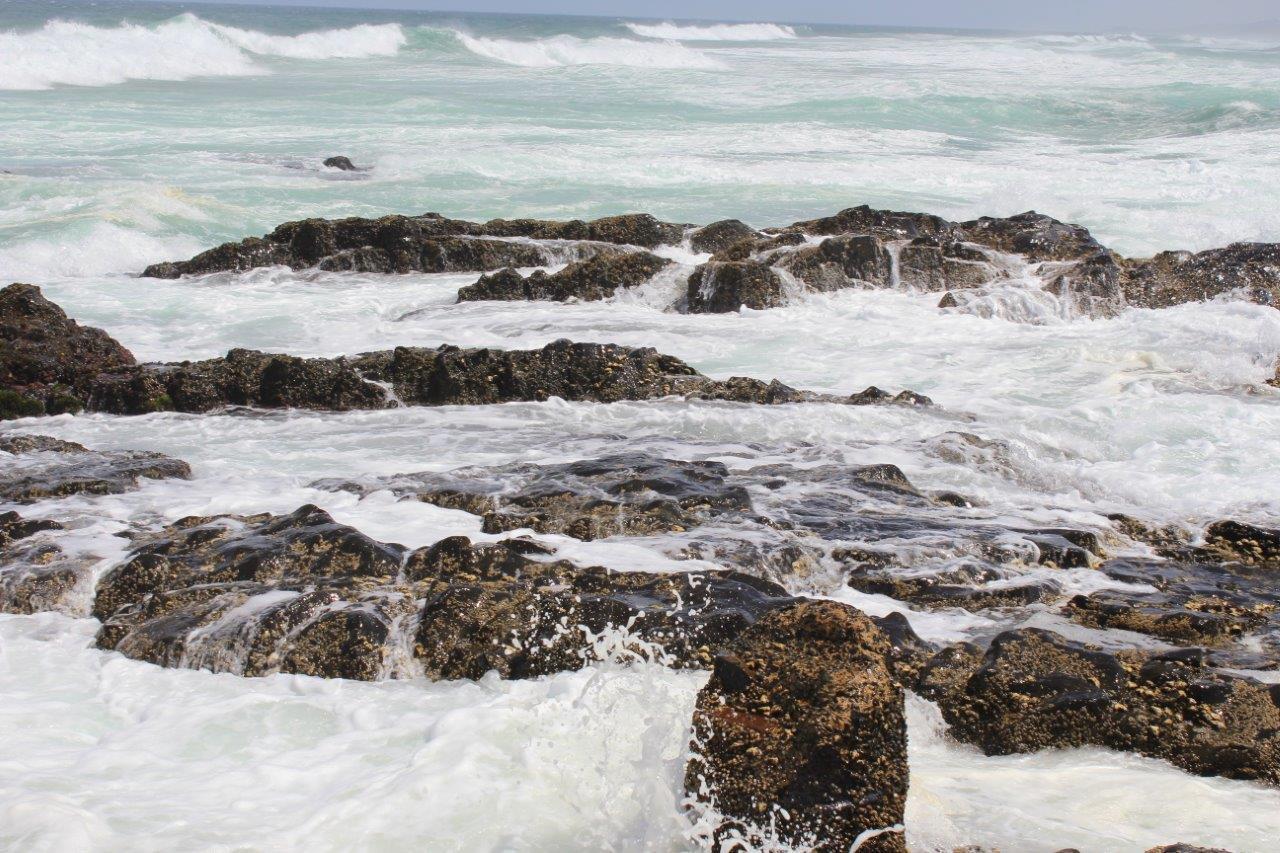 Silver Dolphin Holidays Lägenhet Amanzimtoti Rum bild
